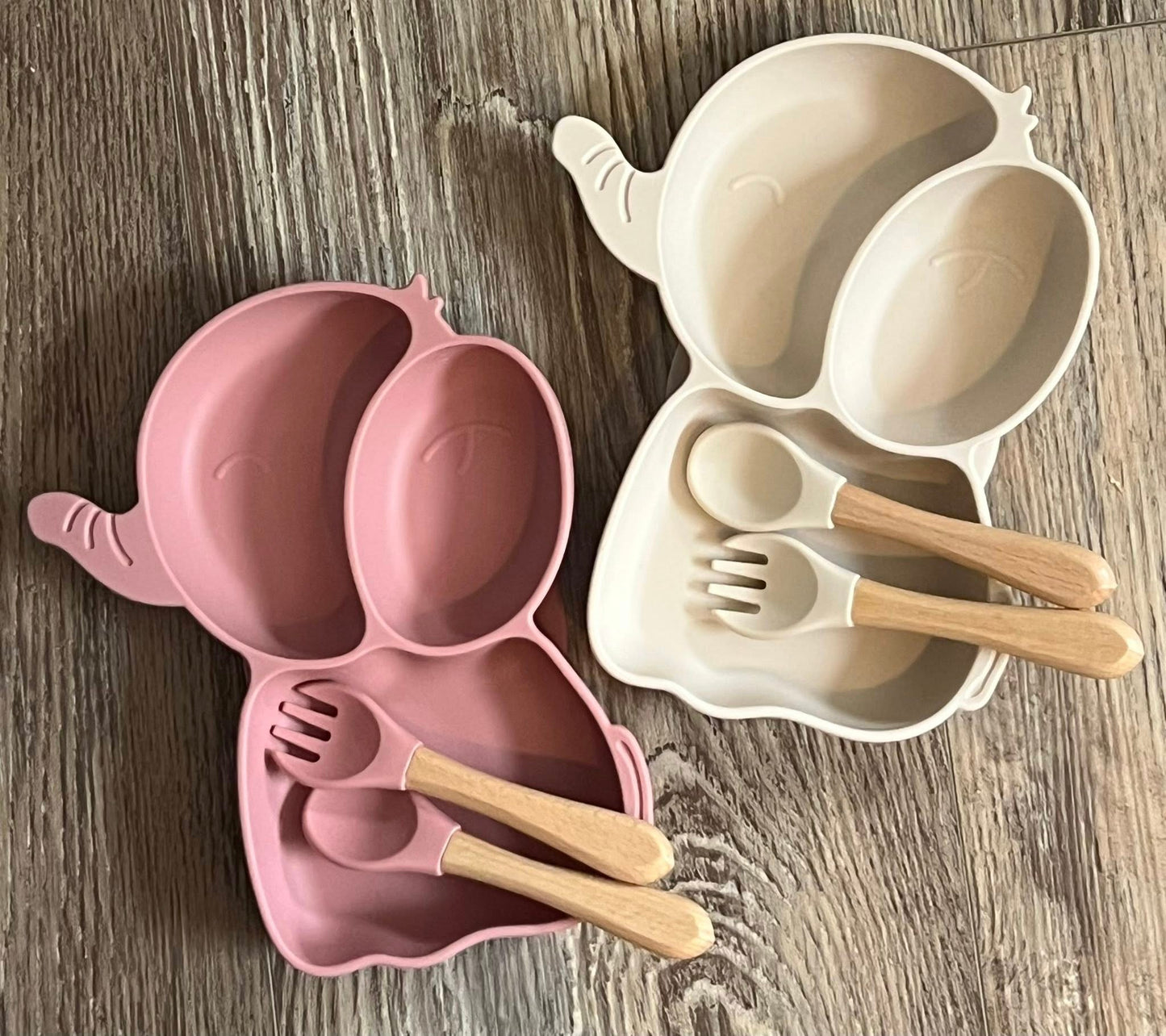 Suction Plates